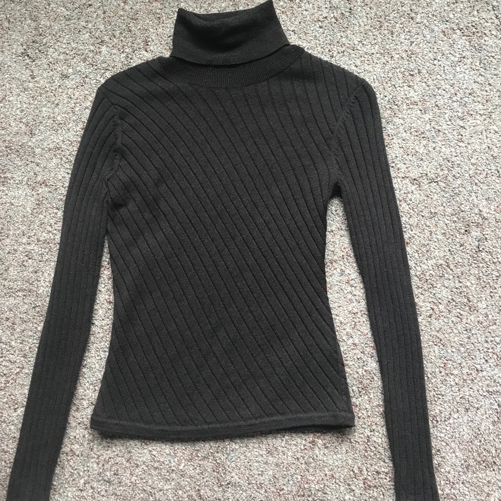 Banana Republic Turtle Neck Sweater